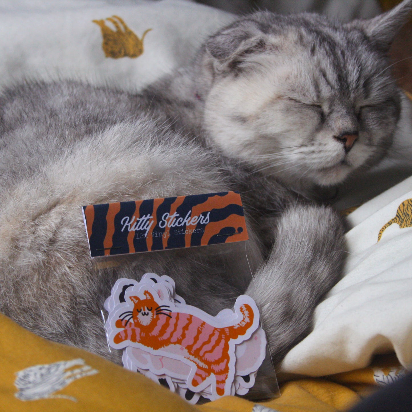 Kitty Stickers Pack