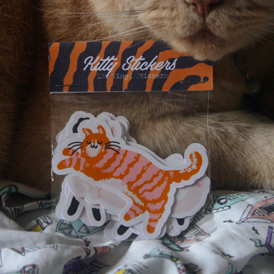 Kitty Stickers Pack